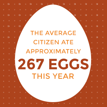 Sizing Up Eggs –