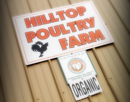 Roosters — Hilltop Farms