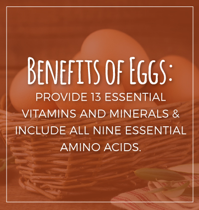 Essential Benefits of Eggs