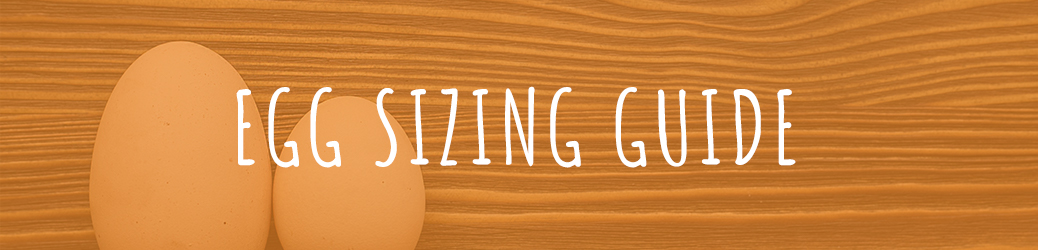 Egg Sizing Guide Banner
