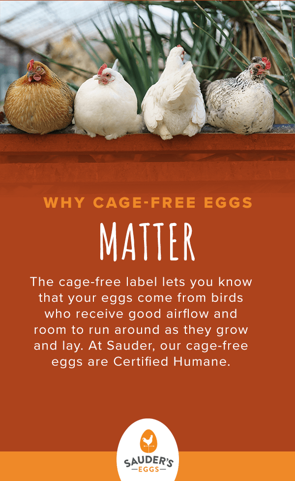 What Does Cage Free Eggs Mean