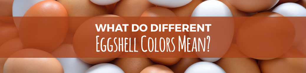 Why Egg Colors Matter: Brown vs White | Sauder's Eggs