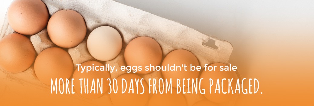 Egg Buying Guide: What to Look For | Sauder's Eggs